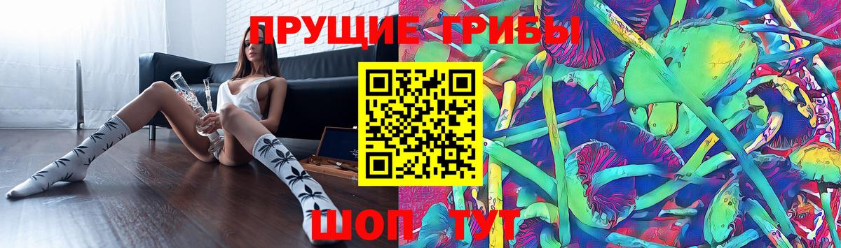 Кузнецк  Галлюциногенные грибы Cubensis  Вход с VPN  Псилоцибиновые грибы GOLDEN TEACHER 